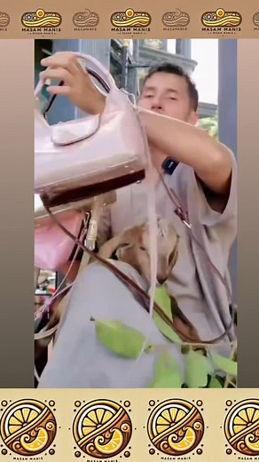 5.7K reactions · 134 shares | Hahhaha..anak Tasha pulak promote bag papa.. 藍藍 Comel jer... BTW jangan lupa malam ni ponye event.. #datinshahida #datoalifsyukri #papalaris #dherbs #terlajaklaris #alifsyukribeg #alifsyukri | Masammanis01 | Facebook