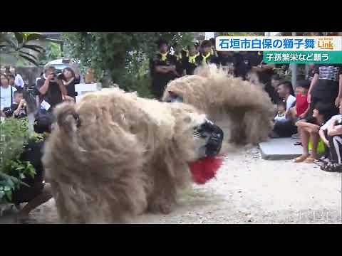 『獅子が赤ちゃんを飲み込む⁉』伝統行事・石垣島白保の獅子舞 子孫繁栄願う