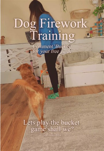 Dog Firework Training ✨ **Comment ‘BUCKET’ for your free guide to box feeding to help your dog overcome their fear of noises like fireworks** With all the drumming Anabel does you’d think she wouldn’t be bothered by loud noises, right? Well this was true until a few weeks ago when one went off right above her head when she was already in pain from a back injury. She jumped which hurt her so she’s now associated the pain she felt with the noise and become very scared of fireworks/bangs. So I am w