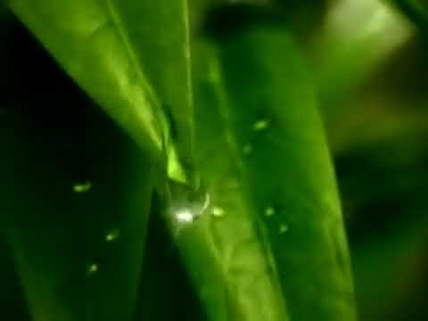 Why Group Insurance Makes Sense for Small Businesses