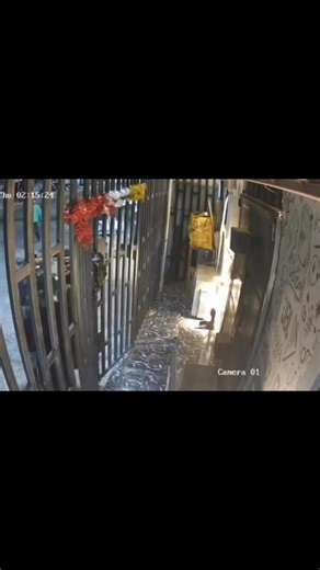 CCTV footage shows a robbery that took place at a phone shop in the Ekosodin axis of Edo State 💔 | Edo Videos