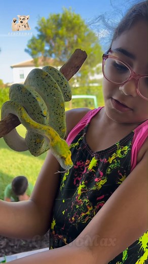 Shocking Animal Transformation! - Witness the unbelievable journey of...