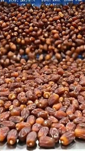 Inside a Modern Date Factory 🏭. #processseekers #farming #datefarming #shorts #viral