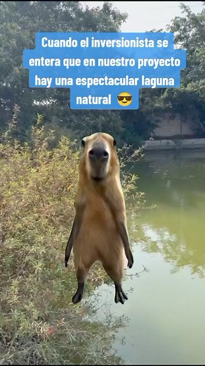 🏡RESIDENCIAL CONDOMINIO SHANGHAI 🏡 HUARAL ☀ 🏡 Aprovecha el PRE LANZAMIENTO y adquiere tu LOTE de 200 m2🏡 ✍ Habilitación Urbana y Título independizado. 🏡 Lotes desde 200m² para vivienda y comercial. 🚣 Laguna . 🏞 Piscina 💡 Servicios básicos de luz eléctrica y agua. 🤝 Trato directo con la Inmobiliaria. 🏞 Pórtico de ingreso. 🌳 Lotes arborizados. 🙋🏻 Zona de juegos para niños. 🏘 Club House. 🌿 Áreas verdes y Alameda 🏡 El Proyecto el Condominio "Residencial Shanghai" te espera! 📌 Lotes 