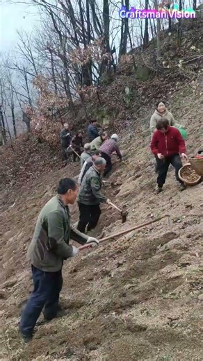 Hillside Gastrodia: Manual Planting with Hoe, Sowing for Germination