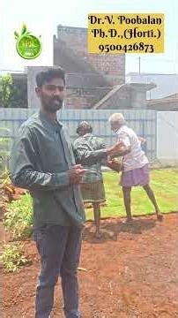 🌿✨ Beautiful Landscaping Design by VPR Pollachi Nursery 🪴 Nanjengoundanpudhur , Pollachi 9500426873