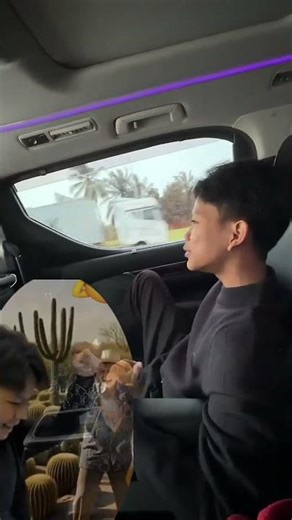 Cool, Farel sings Indian songs 🔥💞🎉 #funny #cute