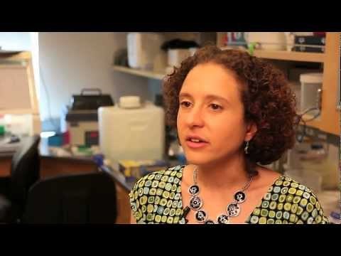 Oregon National Primate Research Center Video Tour