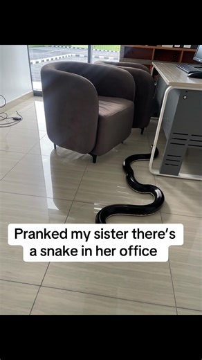 😂😂😂😂 My sister will not take me serious after this @PhotoRevive.AI #viralprank #prank #fyppppppppppppppppppppppp #reviveai #funnyvideos