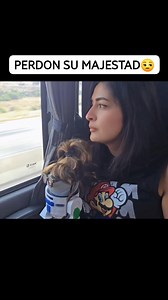 76K views · 3.2K reactions | Alexota la khaleesi, reina de los 7 reinos #alexa #AsistenteVirtual #comedia #humor #juegodetronos | ALEXA La patrona | Facebook