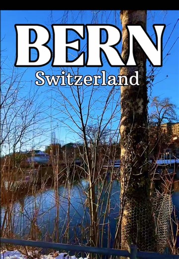 Fresh Snowfall in Bern: Embrace Winter's Calm