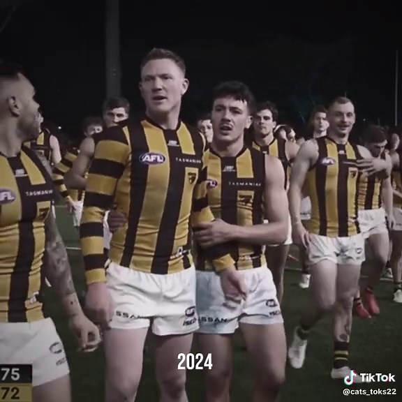 AFL Highlights: 2025 Hawks vs Port Adelaide Match