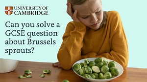 27K views · 329 reactions | Ever had an advent calendar with a question behind every door?  Isaac Science have made their own one this year – with questions in biology, chemistry, maths and physics. Can you solve this difficult GCSE question about Brussels sprouts and their taste? Access the full advent calendar through the link in the comments  #CambridgeUniversity #STEM #Learn #GCSE #Biology | University of Cambridge | Facebook