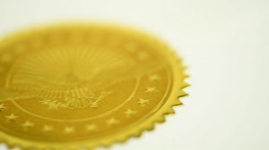 PaperDirect American Eagle Embossed Gold Foil Certificate Seals, 2 Inch, Self Adhesive, 100 Count, Embossed Seals for Certificates, Achievement and Award Stickers for School, Work, Diploma