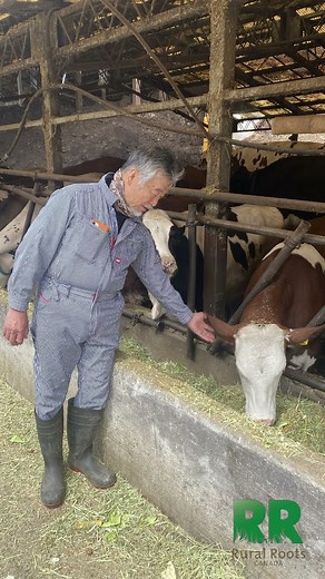 350-year old Tokyo dairy farm thriving