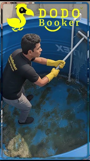 Professional Water Tank Cleaning Service | Dodobooker Homeservices | 9912000692 | #dodobooker