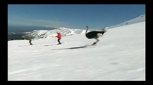 Funny brother บน TikTok