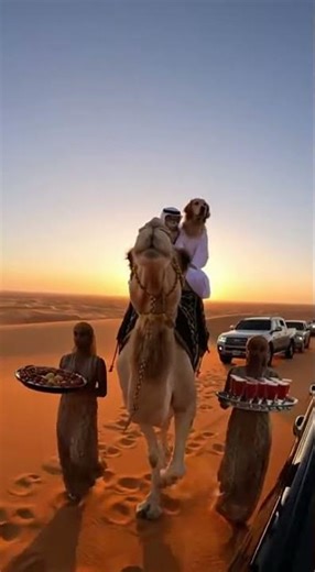 DESERT ROYALTY! 🐪 Cat & Dog Sheikhs in Luxury Convoy