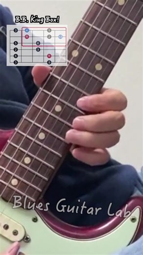 B.B. King Lick from How Blue Can You Get | Get Free Solo & Licks(TAB & Theory) — Link in bio!