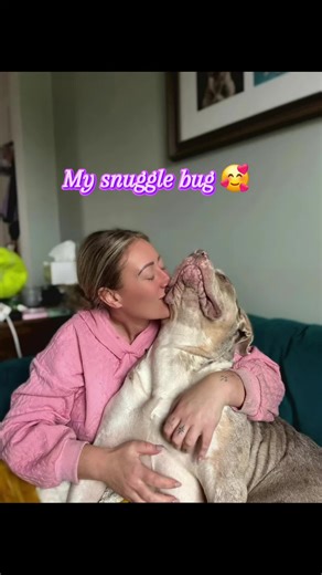 Mabel was smooshing herself into me for extra big cuddles and scritches! #dogmom #doggo #dog #xlbullymum #kisses