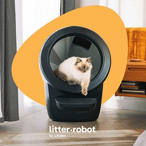 Change your life with cats with Litter-Robot 4: the next evolution of the world’s highest-rated self-cleaning litter box. | Litter-Robot by Whisker