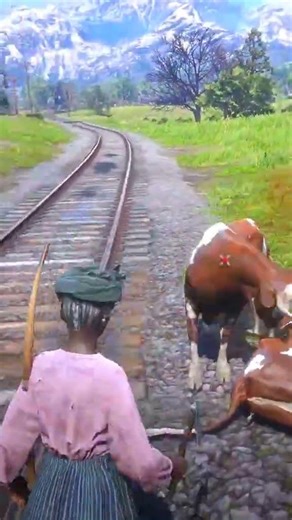 Cuộc sống hoang dã nơi núi rừng P1772