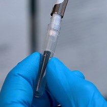 Video: A Magnetic-Bead-Based Mosquito DNA Extraction Protocol for Next-Generation Sequencing