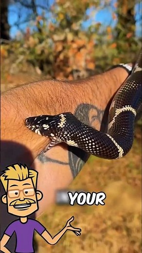 How to Survive Deadly Snake Bites 😨 #facts #shorts