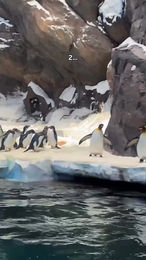 6.4K reactions · 14 shares |  Wait! Wait! If you love God, please...