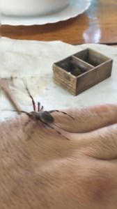 Super G Csr B. Einna | Lordy E. Jumamil