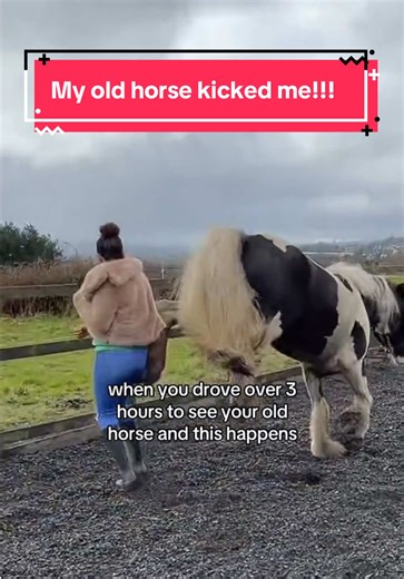 My Old Horse Kicked Me: A Painful Memory