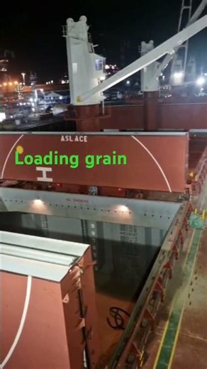Brand new ship