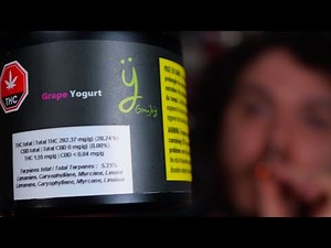 Grape Yogurt by Green Joï