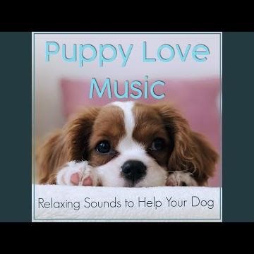 Separation Anxiety Track