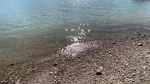 5K views · 327 reactions | Sound on. 殺 isn’t that soothing? ☀️ | Lori Foster | Facebook