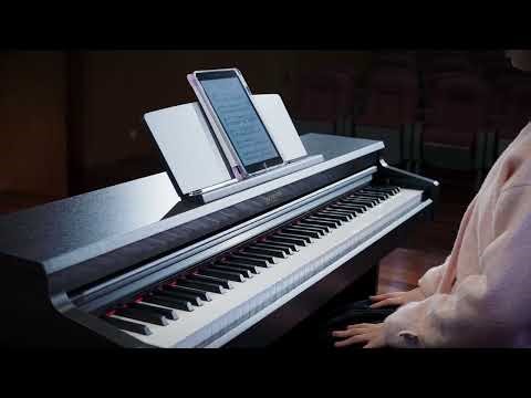 FLYKEYS FDP 3 Digital Piano