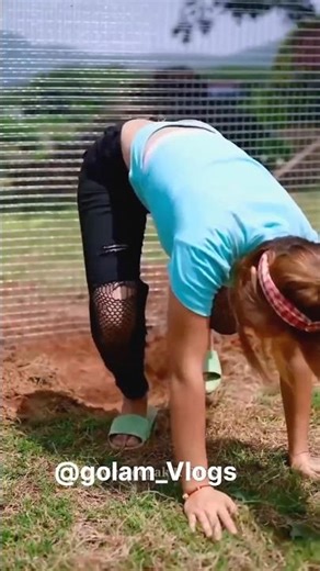 खरगोश भाग गया 🐇rabbit run away bunny running rabbit escape funny rabbit video cute bunny