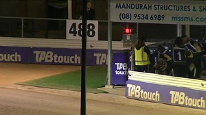 4.2K views · 83 reactions | Team Rippin Greyhound Racing (Shayne...