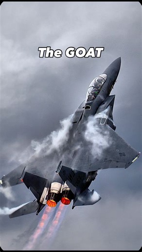 Aviation Worldwide on Instagram: "F15 GOAT debate !? I can do this all day #fighterjets #militaryaviation #gforce #dogfight #fighterjet #f15eagle #strikeeagle #stealthfighter #formula1 #leclerc #norris"
