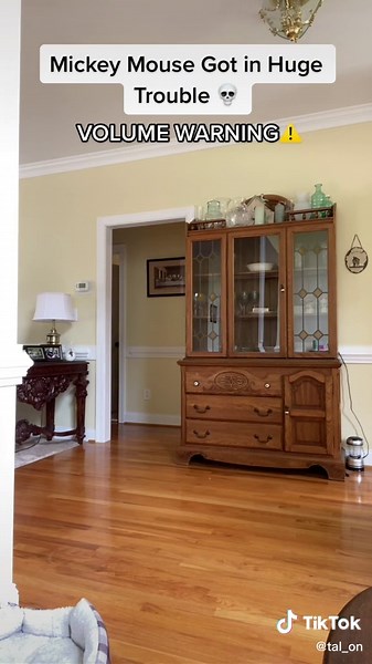 Mickey Mouse Betrayal Drama Unfolds