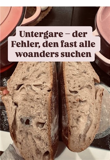 Dichte Porung? Kaum Ofentrieb? Spoiler: Es ist (fast) nie deine Technik. 👀 Fast immer ist es Untergare. Und die entsteht nicht beim Formen, nicht beim Kneten, nicht in der Knetmaschine, nicht beim Dehnen und Falten – und auch nicht, weil der Teig eine Stunde zu kurz im Kühlschrank war. Viele suchen den Fehler genau dort. Denken, sie hätten falsch gefaltet, zu wenig Spannung aufgebaut oder ihr Brot „gewürgt“. Dabei sitzt der häufigste Fehler viel früher: beim Sauerteig. Denn nur weil ein Sauerte