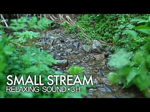 Small Forest Stream + Birds Singing - Sounds for Relaxing, Sleeping, Healing - 3 Hours