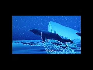 Fantasia 2000 UK VHS Trailer (1999)
