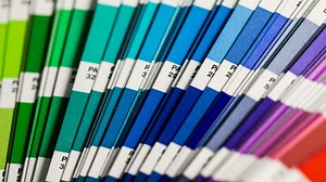 17 Evergreen Color Palettes for Business Websites