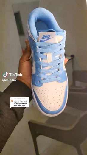 Nike Dunk Low: A Comprehensive Guide to Dunks