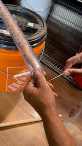 Probing snakes is the technique in which you sex a snake based off how deep the probe goes into the “hole”. Males will give you 4-5 scales worth of depth while females 1-3. Please do not attempt what I am doing. The risk of getting bit is always a possibility I have multiple sets of eyes assisting me from a safe distance, I have practiced this for days on end with non venomous snakes, and I have experience doing this with venomous snakes. * * * #explore #explorepage #copperhead #snake #gatorboys