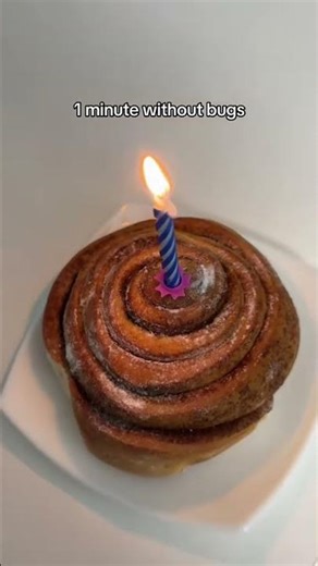 Celebrating Tech's First Bug-Free Minute (And What It Means for You)