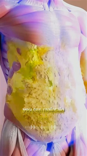 Body Recomposition Explained 💪 #bodyrecomposition #fitness #gym #shorts