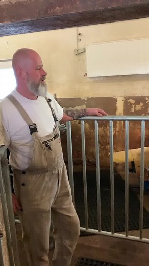 Absamen der Eber - Teil 2 unserer Thementage zur Eberstation Stockhausen | TOPIGS-SNW GmbH