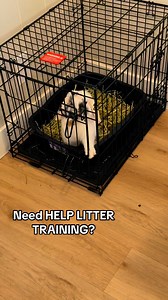 If you’ve been struggling to achieve a free-roaming bunny and your rabbit is stuck in an enclosure or cage because litter training hasn’t worked out, this is the guide you need. Every bunny needs to be litter trained individually, and this step-by-step guide walks you through the fastest and most effective method.After two years of trial and error, I’ve perfected this protocol, and now I’m sharing it with you. For only six dollars, you’ll get my proven system to achieve litter training success.